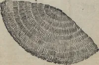 An illustration from Santoan's Chats: Short Records Written upon His Waking (Suiyo shōroku: Santōan issekiwa) : [volume 1] (1844)