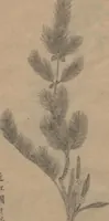 An illustration from Examples of the Flower Arrangement (Meiji shinsen risshō senkashiki 明治新撰千花式) (1889)