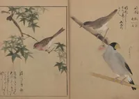 An illustration from A Compendium of Small Birds (Kotori rui shū 小鳥類集) (1836)
