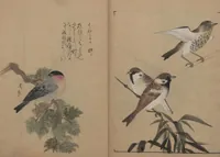 An illustration from A Compendium of Small Birds (Kotori rui shū 小鳥類集) (1836)
