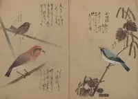 Picture 1 of 13 from A Compendium of Small Birds (Kotori rui shū 小鳥類集) (1836), leaf 4