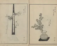 An illustration from A Book on Flower Arrangement: Hare's-Foot Fern (Shinobugusa 師廼部供作) : [volume 2] (1822)