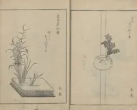 An illustration from A Book on Flower Arrangement: Hare's-Foot Fern (Shinobugusa 師廼部供作) : [volume 2] (1822)