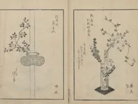 An illustration from A Book on Flower Arrangement: Hare's-Foot Fern (Shinobugusa 師廼部供作) : [volume 2] (1822)