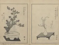 An illustration from A Book on Flower Arrangement: Hare's-Foot Fern (Shinobugusa 師廼部供作) : [volume 2] (1822)