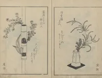 An illustration from A Book on Flower Arrangement: Hare's-Foot Fern (Shinobugusa 師廼部供作) : [volume 2] (1822)