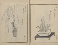 An illustration from A Book on Flower Arrangement: Hare's-Foot Fern (Shinobugusa 思乃父魚砂) : [volume 3] (1822)