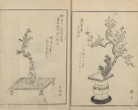 An illustration from A Book on Flower Arrangement: Hare's-Foot Fern (Shinobugusa 思乃父魚砂) : [volume 3] (1822)