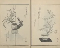 An illustration from A Book on Flower Arrangement: Hare's-Foot Fern (Shinobugusa 思乃父魚砂) : [volume 3] (1822)