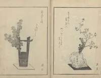 An illustration from A Book on Flower Arrangement: Hare's-Foot Fern (Shinobugusa 思乃父魚砂) : [volume 3] (1822)