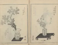 An illustration from A Book on Flower Arrangement: Hare's-Foot Fern (Shinobugusa 思乃父魚砂) : [volume 3] (1822)