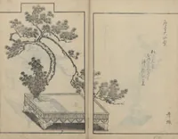 An illustration from A Book on Flower Arrangement: Hare's-Foot Fern (Shinobugusa 思乃父魚砂) : [volume 3] (1822)