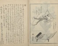 An illustration from A Book on Flower Arrangement: Hare's-Foot Fern (Shinobugusa 思乃父魚砂) : [volume 3] (1822)