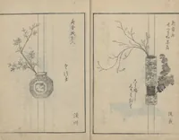 An illustration from A Book on Flower Arrangement: Hare's-Foot Fern (Shinobugusa 思乃父魚砂) : [volume 3] (1822)