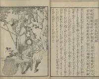 An illustration from Illustrations of Chinese Poems Chosen from Toshisen's Book (Tōshisen ehon 唐詩撰畫本) : [volume 2] (1833)