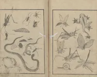 An illustration from Transmitting the Spirit, Revealing the Form of Things, Volume 1 (Denshin kaishu: Hokusai manga, shohen 傳神開手 北斎漫画初編) (1814)
