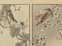 An illustration from Bairei Picture Album of One Hundred Birds (Bairei hyakuchō gafu 楳嶺百鳥畫譜) : [volume 1] (1884)