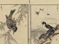 An illustration from Bairei Picture Album of One Hundred Birds (Bairei hyakuchō gafu 楳嶺百鳥畫譜) : [volume 1] (1884)