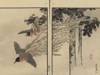 An illustration from Bairei Picture Album of One Hundred Birds (Bairei hyakuchō gafu 楳嶺百鳥畫譜) : [volume 1] (1884)