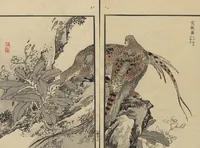 An illustration from Bairei Picture Album of One Hundred Birds (Bairei hyakuchō gafu 楳嶺百鳥畫譜) : [volume 1] (1884)