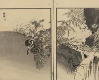 An illustration from Bairei Picture Album of One Hundred Birds (Bairei hyakuchō gafu 楳嶺百鳥畫譜) : [volume 1] (1884)