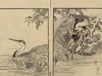 An illustration from Bairei Picture Album of One Hundred Birds (Bairei hyakuchō gafu 楳嶺百鳥畫譜) : [volume 1] (1884)