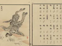 An illustration from Bairei Picture Album of One Hundred Birds (Bairei hyakuchō gafu 楳嶺百鳥畫譜) : [volume 1] (1884)