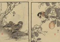 An illustration from Bairei Picture Album of One Hundred Birds (Bairei hyakuchō gafu 楳嶺百鳥畫譜) : [volume 1] (1884)