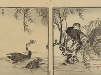 An illustration from Bairei Picture Album of One Hundred Birds (Bairei hyakuchō gafu 楳嶺百鳥畫譜) : [volume 1] (1884)