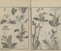 An illustration from Transmitting the Spirit, Revealing the Form of Things, Volume 4 (Denshin kaishu: Hokusai manga, yonhen 傳神開手 北斎漫画四編) (1816)