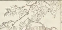 Picture 5 of 26 from Transmitting the Spirit, Revealing the Form of Things, Volume 8 (Denshin kaishu: Hokusai manga, happen 傳神開手 北斎漫画八編) (1817), leaf 22