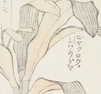 Picture 17 of 26 from Transmitting the Spirit, Revealing the Form of Things, Volume 8 (Denshin kaishu: Hokusai manga, happen 傳神開手 北斎漫画八編) (1817), leaf 46