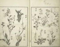 An illustration from Picture Album of the Floating World (Ukiyo efu 浮世画譜) : [volume 2] (1820)