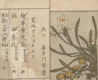 An illustration from Picture Book of Flowers of the Four Seasons (Ehon shiki no hana) : [volume 2] (1801)