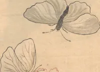 An illustration from Picture Book of Crawling Creatures (The Insect Book) (Ehon mushi erami) (1823)