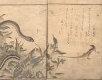 An illustration from Picture Book of Crawling Creatures (The Insect Book) (Ehon mushi erami) (1823)