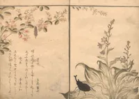 An illustration from Picture Book of Crawling Creatures (The Insect Book) (Ehon mushi erami) (1823)