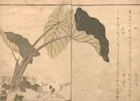 An illustration from Picture Book of Crawling Creatures (The Insect Book) (Ehon mushi erami) (1823)