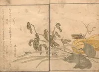 An illustration from Picture Book of Crawling Creatures (The Insect Book) (Ehon mushi erami) (1823)