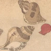 An illustration from Gifts from the Ebb-Tide (The Shell Book) (Shiohi no tsuto 潮干のつと) (1789)