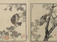 An illustration from Bairei Picture Album of One Hundred Birds (Bairei hyakuchō gafu 楳嶺百鳥畫譜) : [volume 2] (1884)