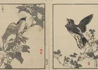 An illustration from Bairei Picture Album of One Hundred Birds (Bairei hyakuchō gafu 楳嶺百鳥畫譜) : [volume 2] (1884)