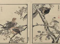 An illustration from Bairei Picture Album of One Hundred Birds (Bairei hyakuchō gafu 楳嶺百鳥畫譜) : [volume 2] (1884)