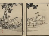An illustration from Bairei Picture Album of One Hundred Birds (Bairei hyakuchō gafu 楳嶺百鳥畫譜) : [volume 2] (1884)