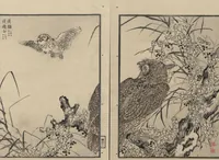 An illustration from Bairei Picture Album of One Hundred Birds (Bairei hyakuchō gafu 楳嶺百鳥畫譜) : [volume 2] (1884)