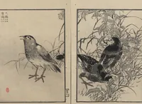 An illustration from Bairei Picture Album of One Hundred Birds (Bairei hyakuchō gafu 楳嶺百鳥畫譜) : [volume 2] (1884)