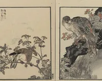 An illustration from Bairei Picture Album of One Hundred Birds (Bairei hyakuchō gafu 楳嶺百鳥畫譜) : [volume 2] (1884)