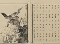 An illustration from Bairei Picture Album of One Hundred Birds (Bairei hyakuchō gafu 楳嶺百鳥畫譜) : [volume 2] (1884)