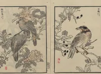 An illustration from Bairei Picture Album of One Hundred Birds (Bairei hyakuchō gafu 楳嶺百鳥畫譜) : [volume 2] (1884)
