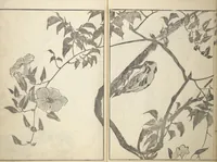 An illustration from A Thicket of Pictures Without Shapes (Fukei gasō) (1817)